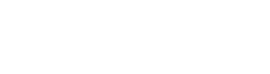 Digicon