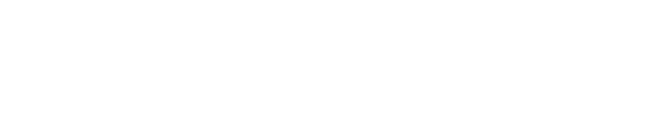 Net2Phone