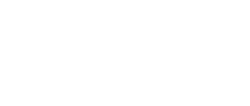 Nidum
